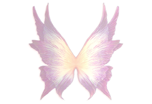 Fantasy Butterfly Wings