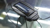 Solar Cockroach post 4