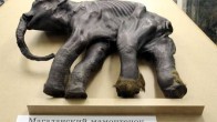 mammoth211