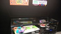 AOU 2011 Amusement Expo Konami (15)