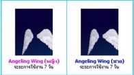 Angeling Wing