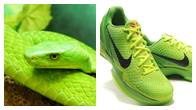 ผู้ผลิตรองเท้าชื่อดังอย่าง  Nike  ก็ไปสะดุดตา ออกแบบรองเท้า Nike Zoom Kobe VI Grinch Christmas Green Mamba