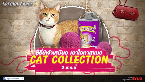 TV-BANNER-Cat_collection