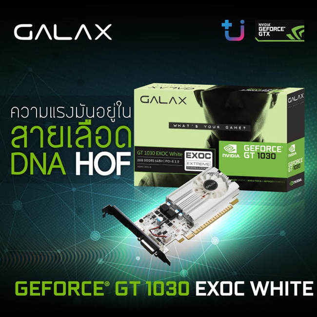 GALAX GT 1030 EXOC White
